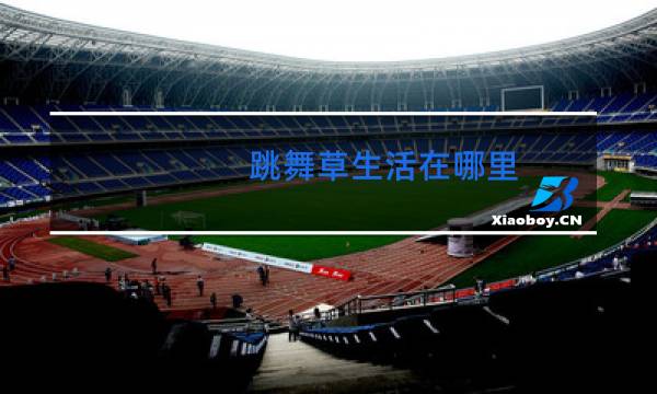 跳舞草生活在哪里