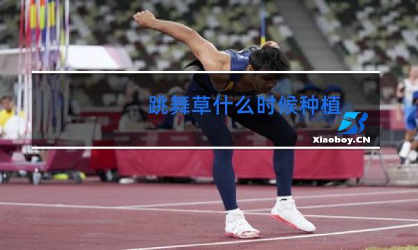 跳舞草什么时候种植