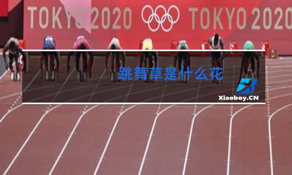 跳舞草是什么花