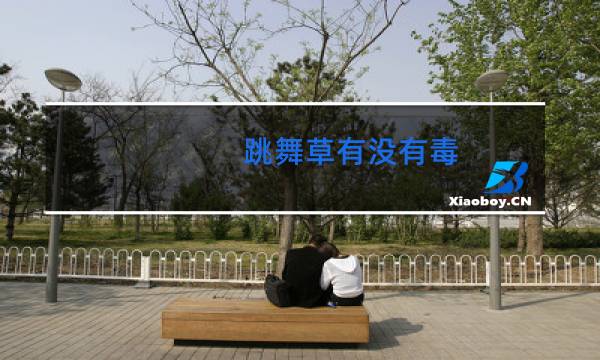 跳舞草有没有毒