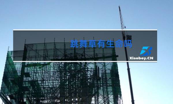 跳舞草有生命吗