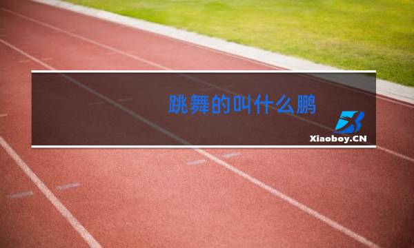 跳舞的叫什么鹏