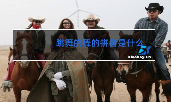 跳舞的舞的拼音是什么