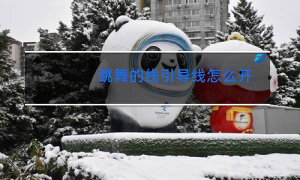 跳舞的线引导线怎么开