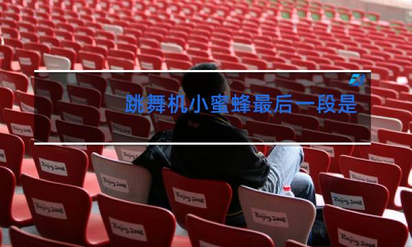 跳舞机小蜜蜂最后一段是什么歌