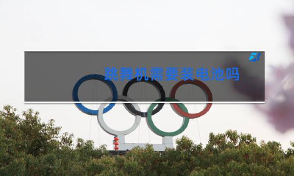 跳舞机需要装电池吗图片