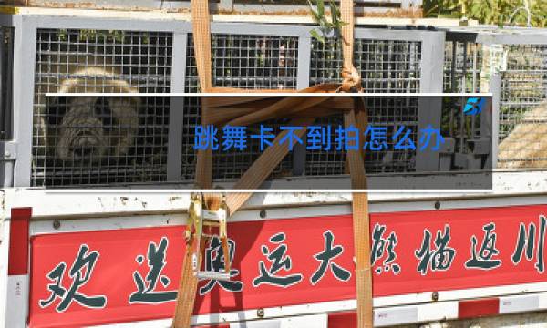 跳舞卡不到拍怎么办