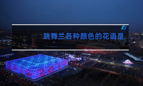 跳舞兰各种颜色的花语是什么图片