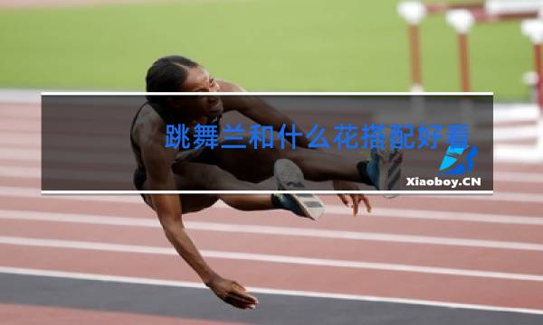 跳舞兰和什么花搭配好看