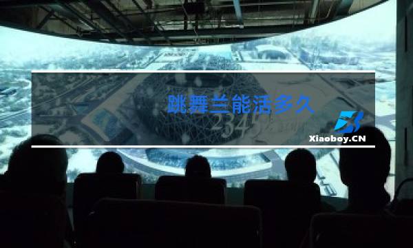 跳舞兰能活多久