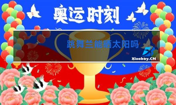 跳舞兰能晒太阳吗