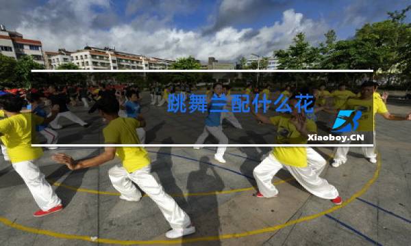 跳舞兰配什么花