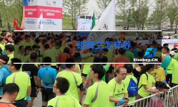 跳舞兰怎样养图片