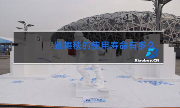 跳舞毯的使用寿命有多久