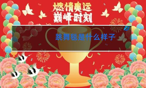 跳舞毯是什么样子