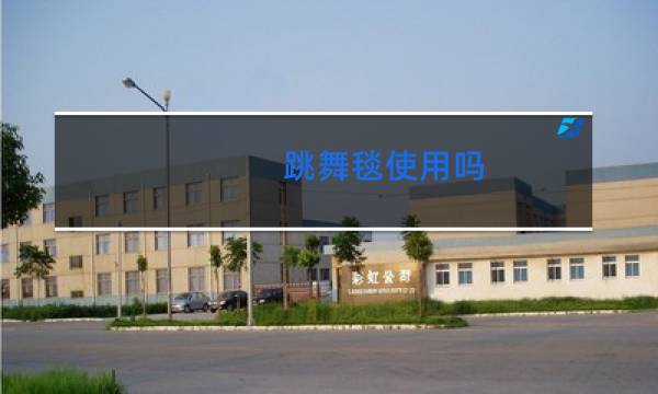跳舞毯使用吗