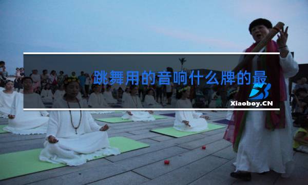 跳舞用的音响什么牌的最好