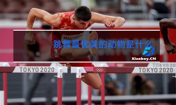 跳舞最优美的动物是什么