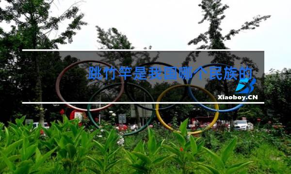跳竹竿是我国哪个民族的舞蹈