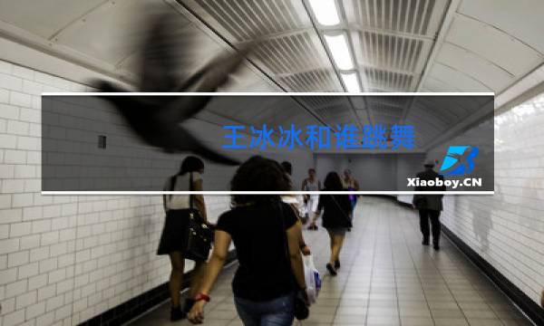 王冰冰和谁跳舞