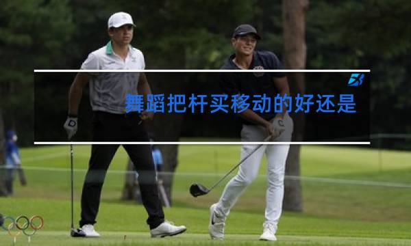 舞蹈把杆买移动的好还是买固定的好图片