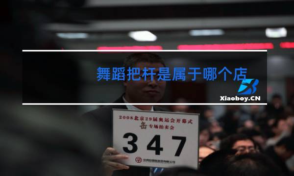 舞蹈把杆是属于哪个店