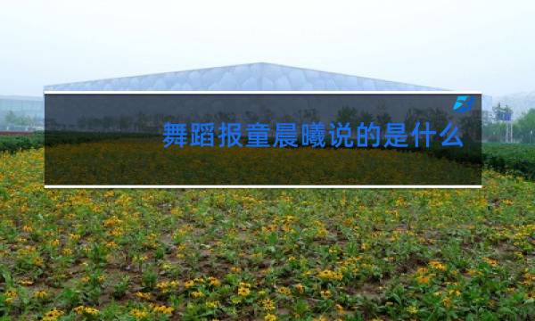 舞蹈报童晨曦说的是什么