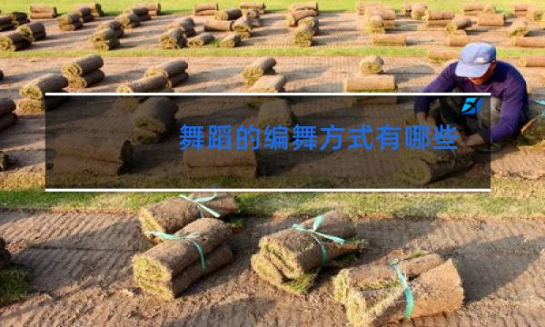 舞蹈的编舞方式有哪些