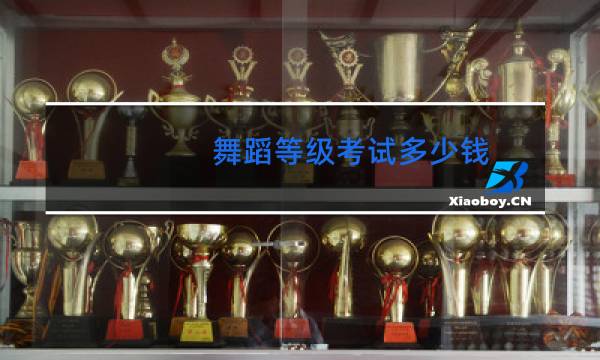 舞蹈等级考试多少钱