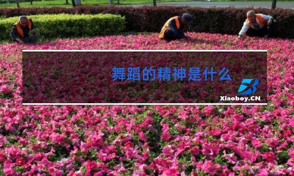 舞蹈的精神是什么