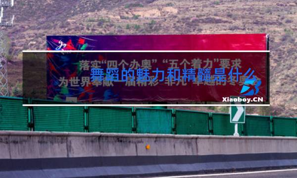 舞蹈的魅力和精髓是什么图片