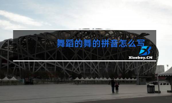 舞蹈的舞的拼音怎么写