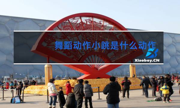 舞蹈动作小跳是什么动作