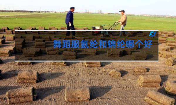 舞蹈服氨纶和锦纶哪个好