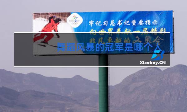 舞蹈风暴的冠军是哪个人