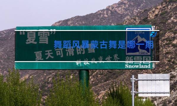 舞蹈风暴蒙古舞是哪一期