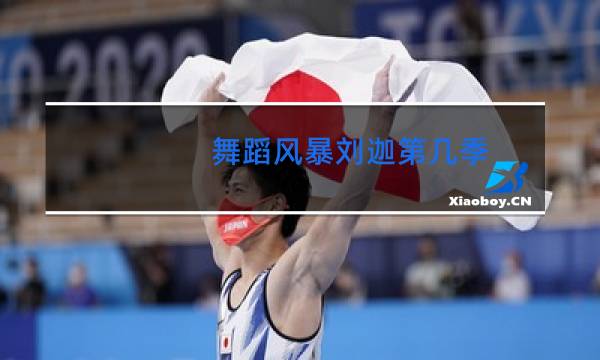 舞蹈风暴刘迦第几季