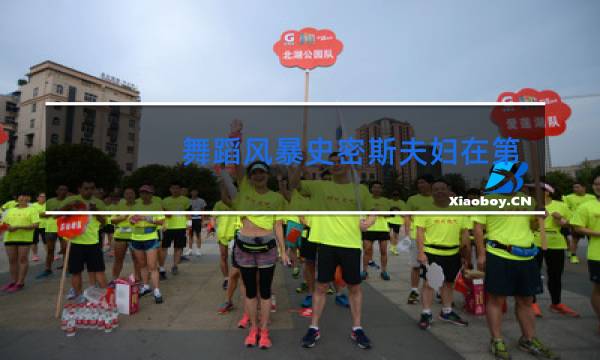 舞蹈风暴史密斯夫妇在第几季