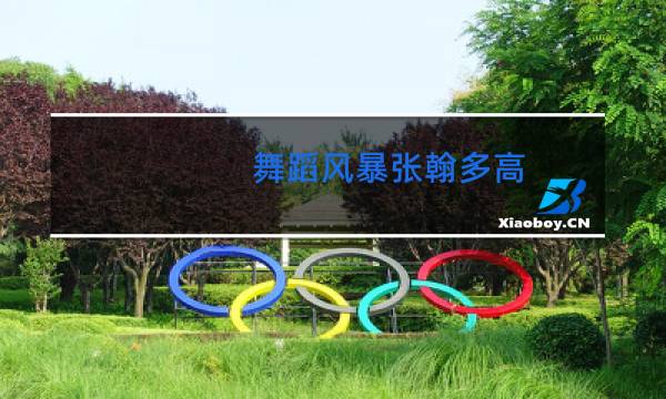 舞蹈风暴张翰多高