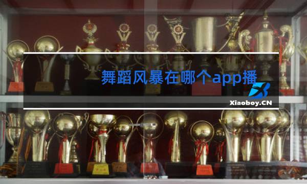 舞蹈风暴在哪个app播出