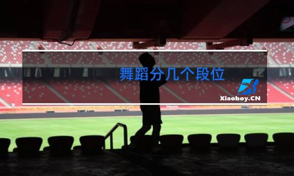 舞蹈分几个段位