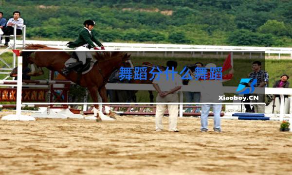 舞蹈分什么舞蹈