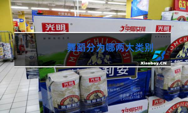 舞蹈分为哪两大类别