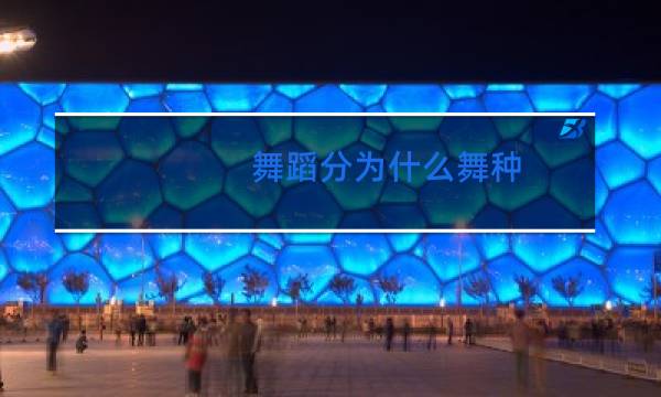 舞蹈分为什么舞种