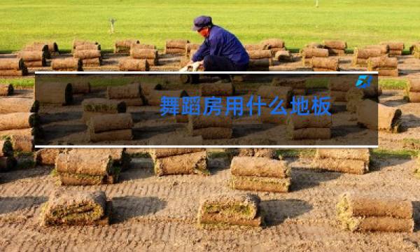 舞蹈房用什么地板图片