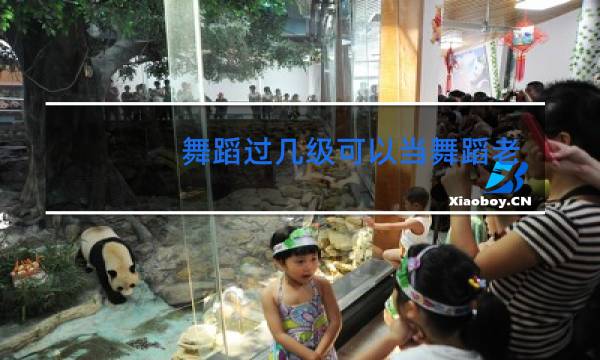 舞蹈过几级可以当舞蹈老师图片