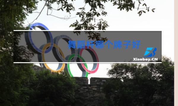 舞蹈杆哪个牌子好