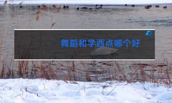 舞蹈和学西点哪个好