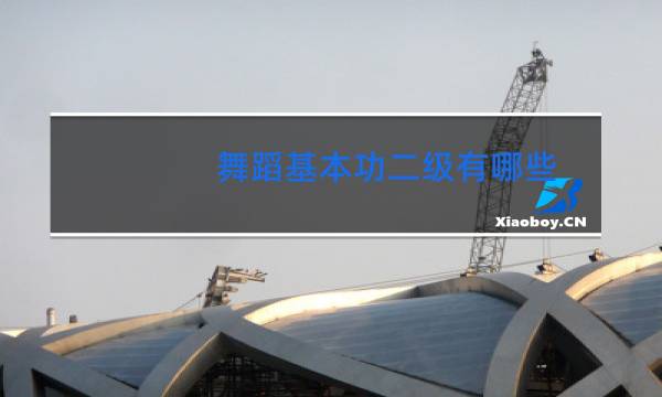 舞蹈基本功二级有哪些