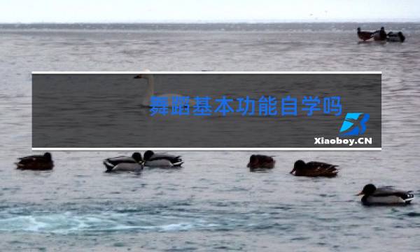 舞蹈基本功能自学吗